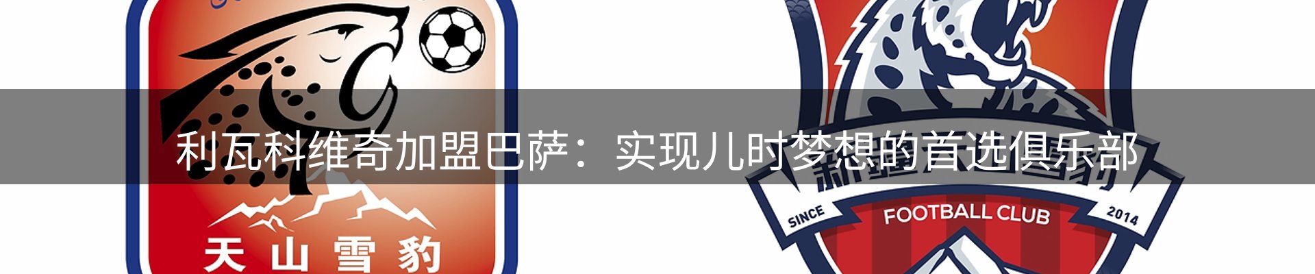 每日观察