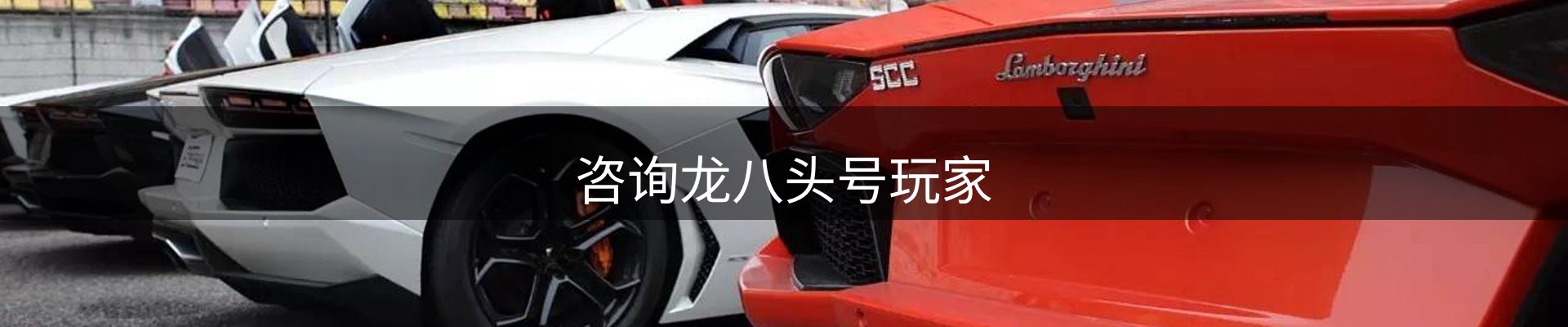 咨询龙八头号玩家