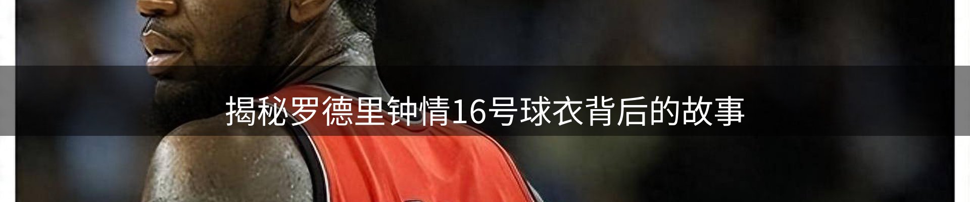 品牌资讯