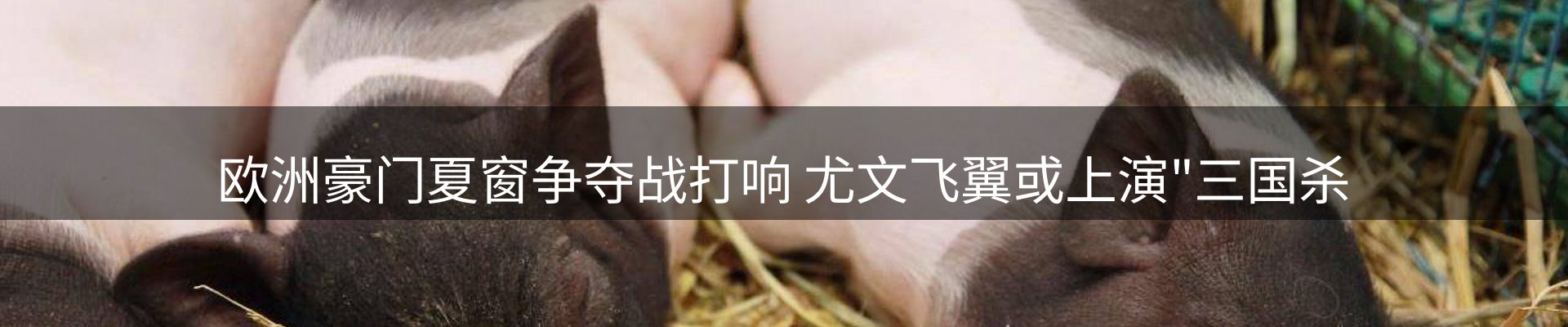 品牌资讯