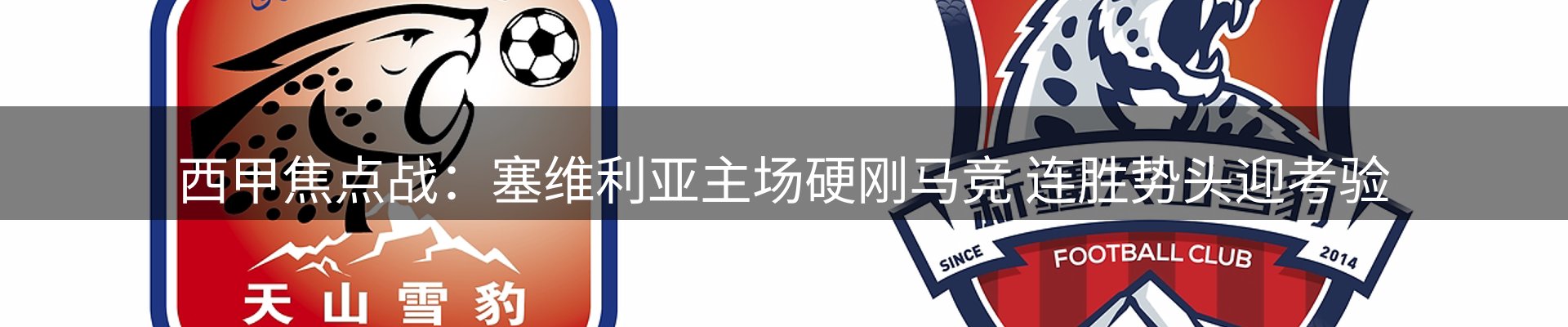 每日观察
