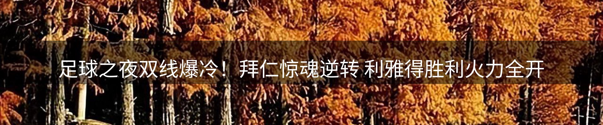 品牌资讯