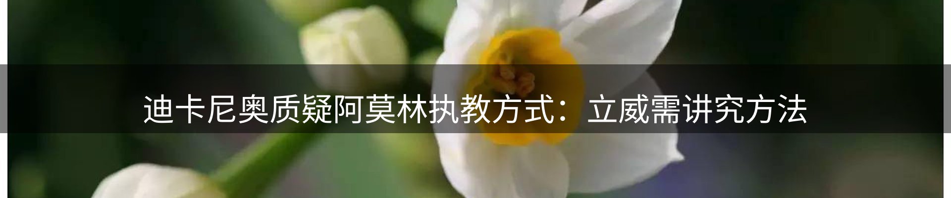 品牌资讯