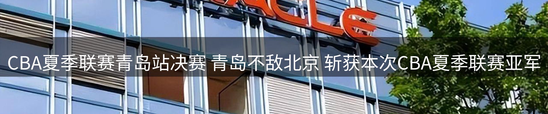 每日观察